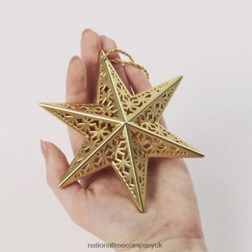 decoration | National Tree Company Scentsicles Decorative Ornament Metal White Star White Winter Fir with Refill F2L4F548